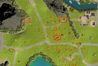 Locations of the three missing scouts.