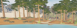 Forest Alcove Overview.png